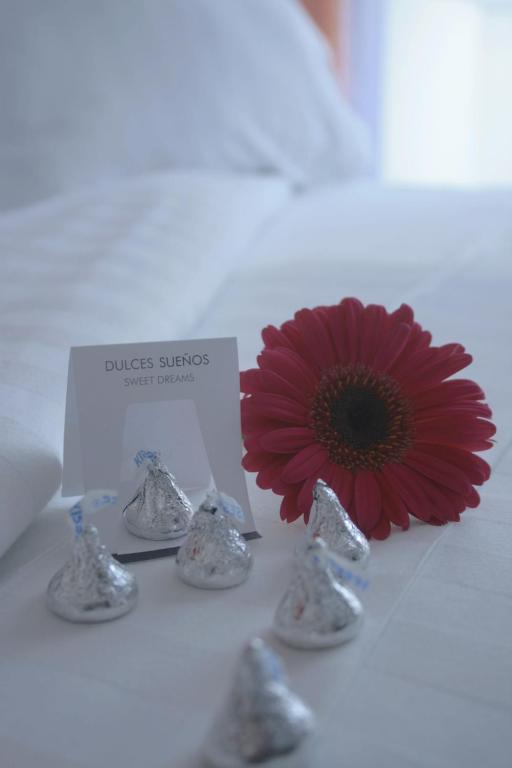 Hotel Lugano Suites Bogotá Esterno foto